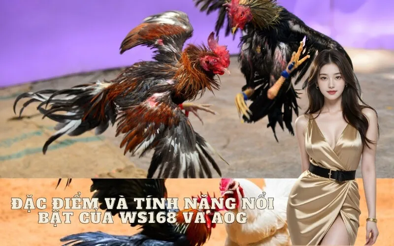 Đặc điểm và tính năng nổi bật của WS168 và AOG