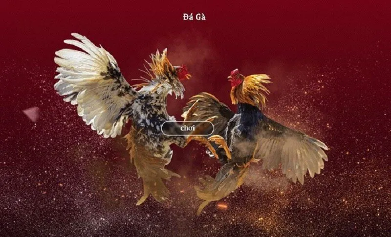 tham gia đá gà 69vn