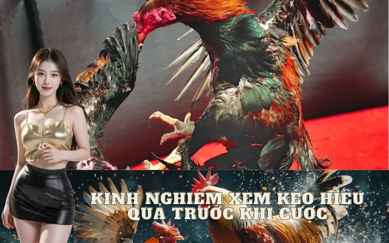 Kinh nghiệm xem kèo hiệu quả trước khi cược