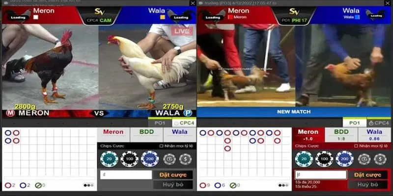 livestream chất lượng cao